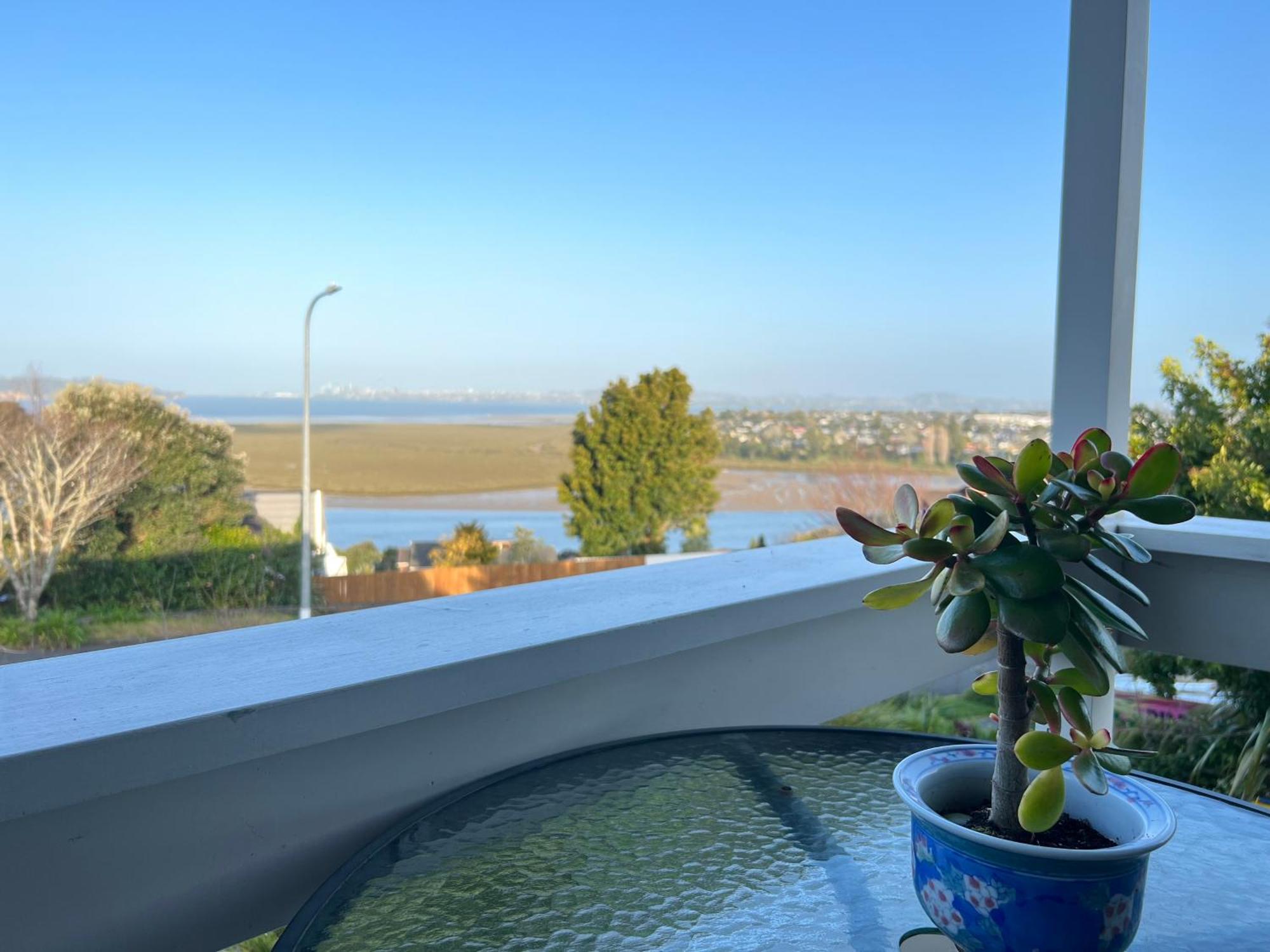 Auckland Sea&Skytower View Homestay With Free Netflix, Parking Exteriér fotografie